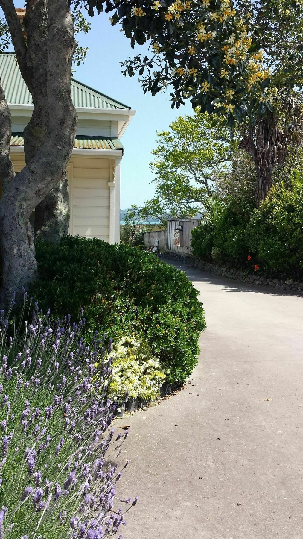 Abbey Court Motel Coromandel Экстерьер фото